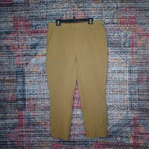 EVERLANE womens solid dark olive stretch pants 14 EUC